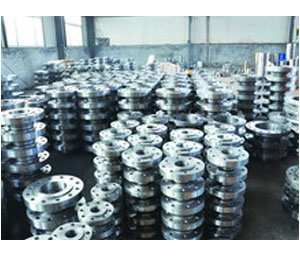 Flange series produc